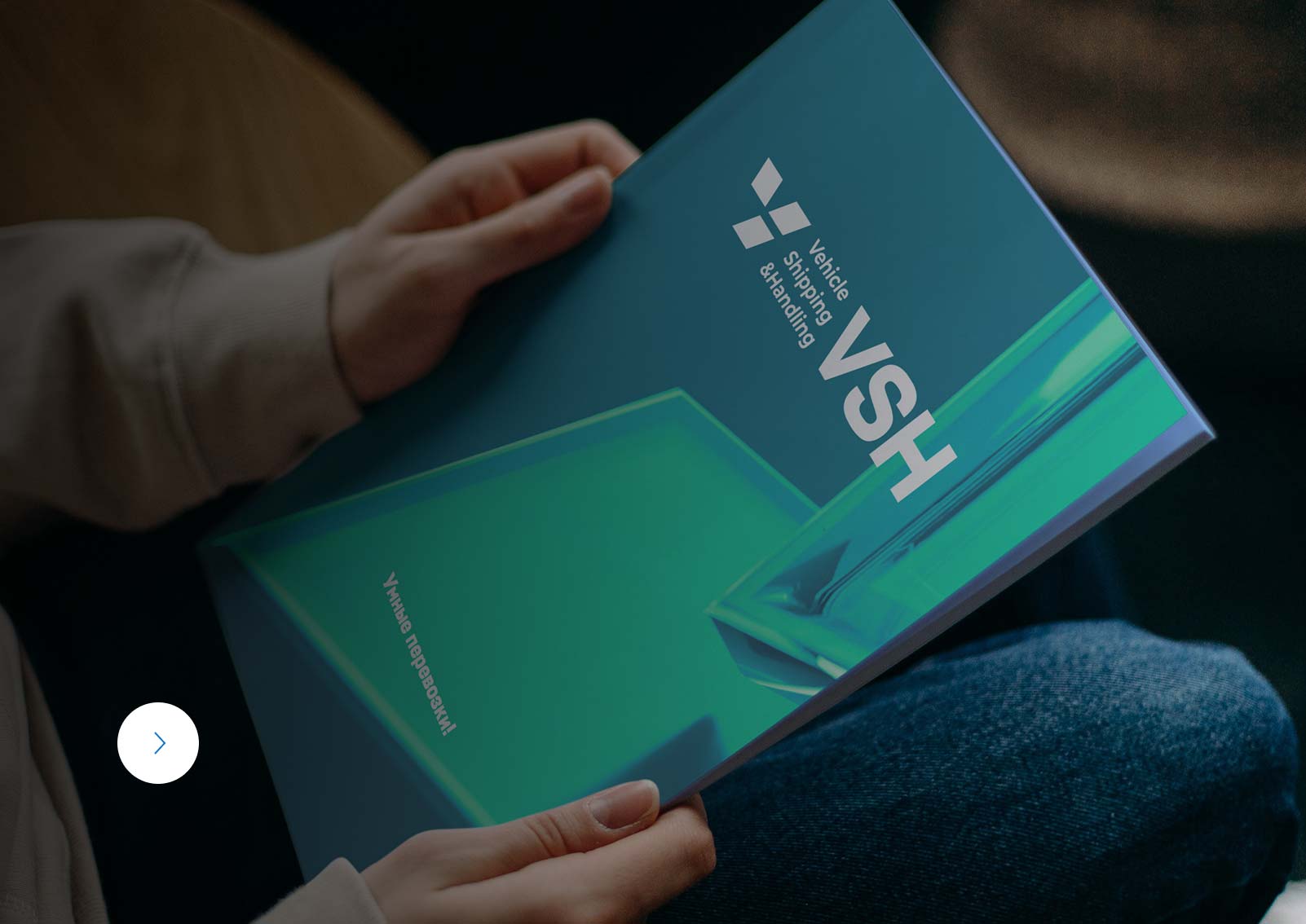 Брендбук проекта VSH